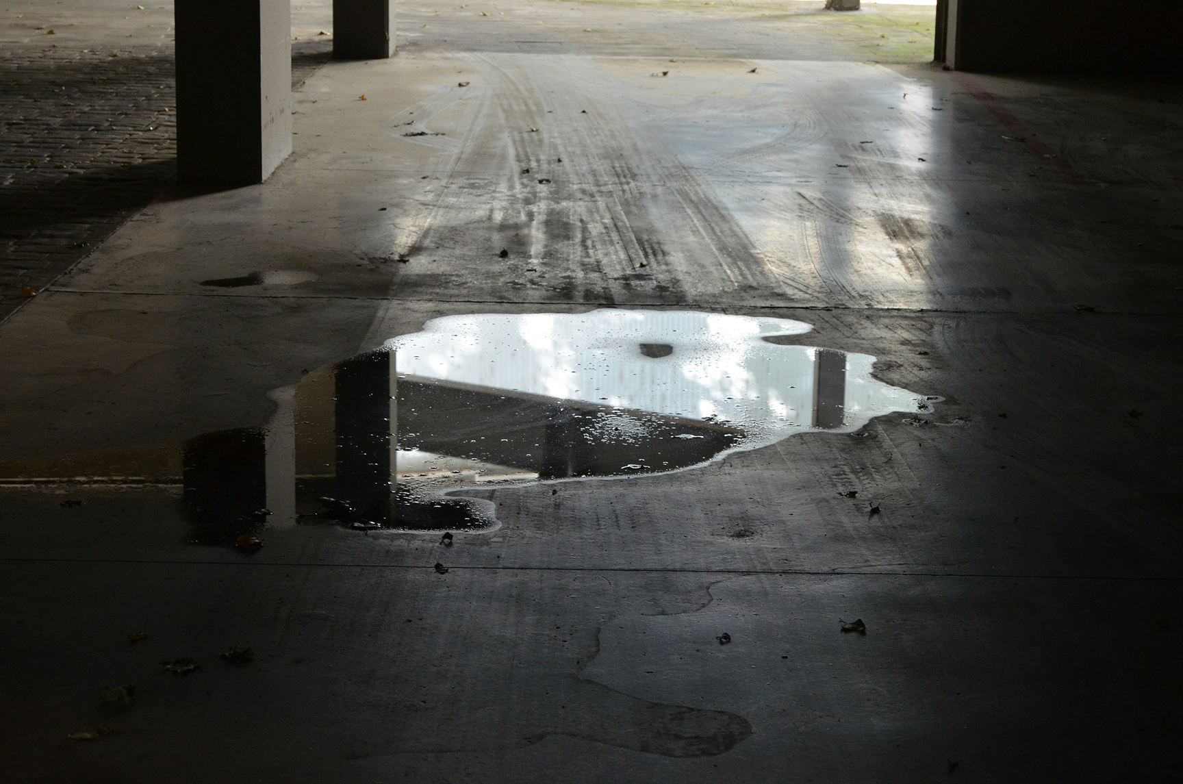 alvaro cebrian wItMFHnq3TM unsplash 2